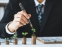 Particularities Regarding Current Accounting and Financial Analysis in an Entity from the Forestry Sector