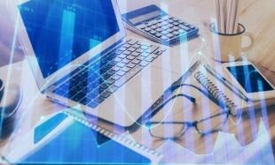 Examples Regarding the Reporting in the Single Tax Return of Tax Obligations Owed by Natural Persons for Income from Independent Activities