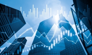 Regulatory Pressure, Financial Soundness, and Bank Performance in Emerging Economies: Panel Evidence from Nigerian Deposit Money Banks Under Regulatory Oversight