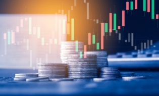 Efectele deprecierii dolarului din Zimbabwe asupra performanței financiare și a indicatorilor de profitabilitate ai firmelor de retail autorizate