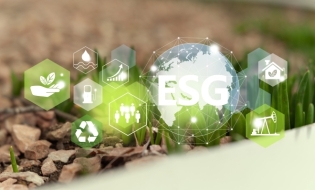 Reporting on Intangible Assets in Romania: Harmonization Between International Standards and Sustainability Reporting (ESG)
