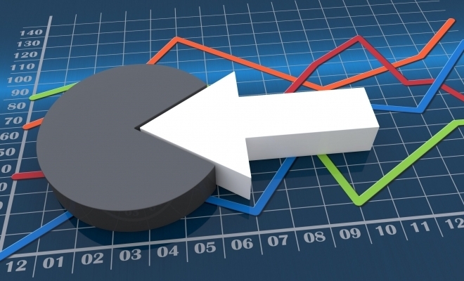 The Financial Analysis of a Retailer in Romania The Financial Analysis of a Retailer in Romania